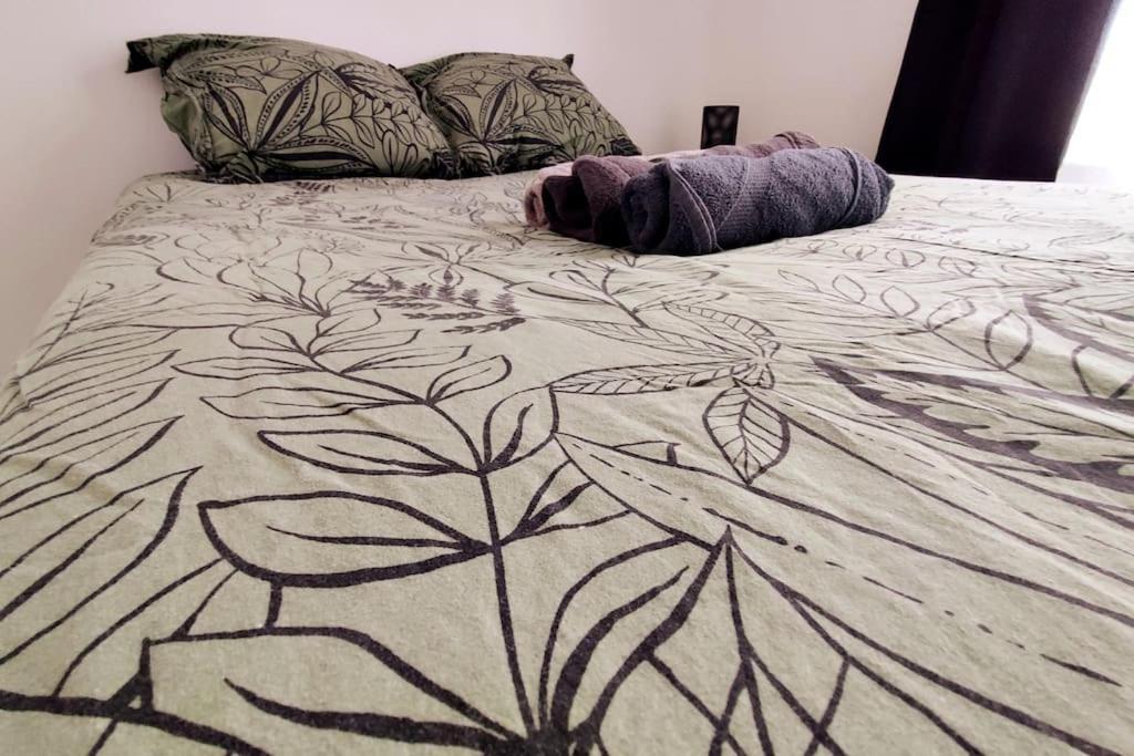 Logement Entier Proche Tribunaux ドゥエー エクステリア 写真