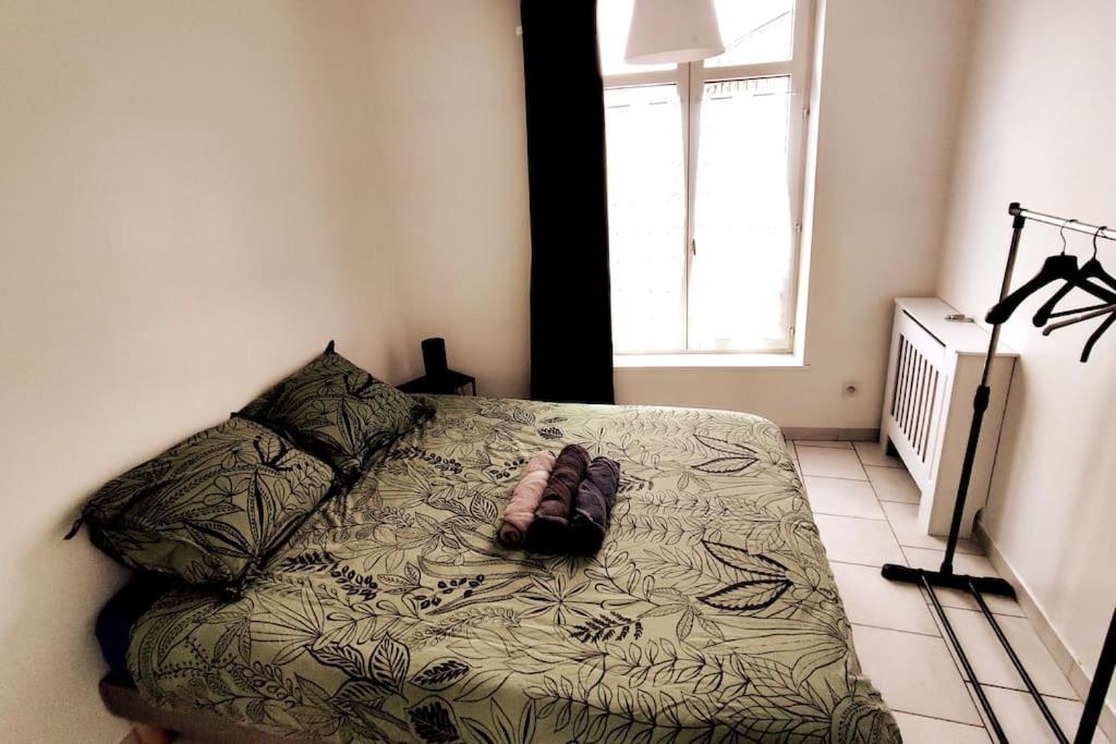 Logement Entier Proche Tribunaux ドゥエー エクステリア 写真